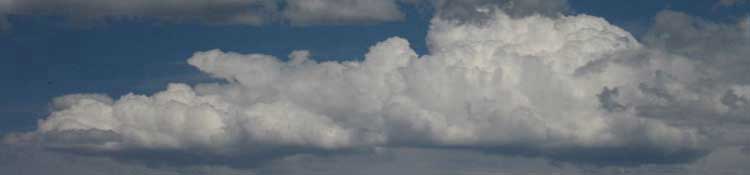 Thunderclouds forming over the Sierra Crest above Murray Canyon.